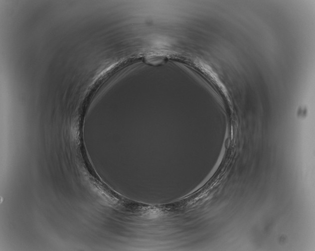 X0000097590249200803141900