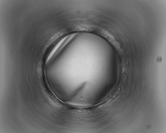 X0000097590250200803141900