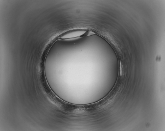 X0000097590252200803141901