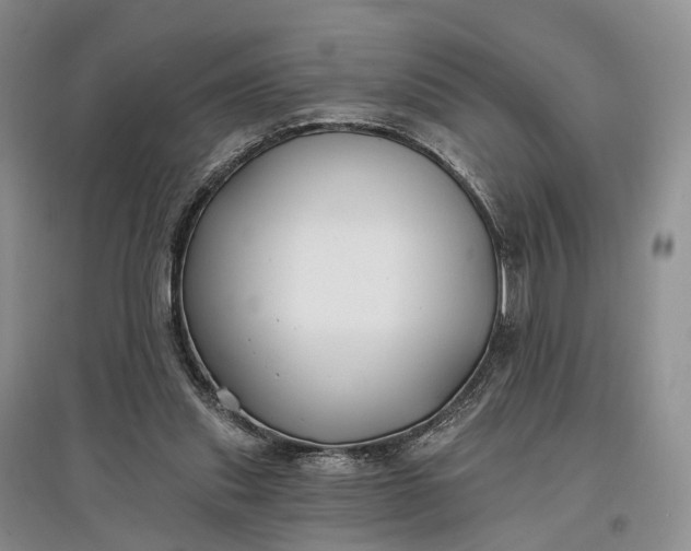 X0000097590253200803141901