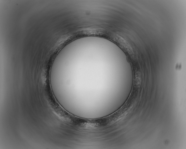 X0000097590255200803141901