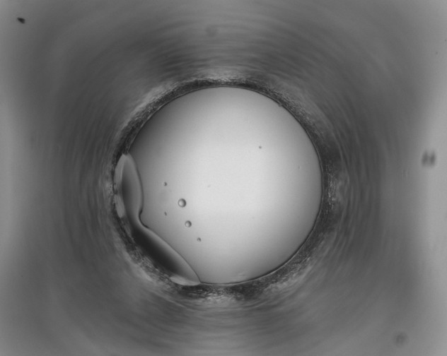 X0000097590256200803141901