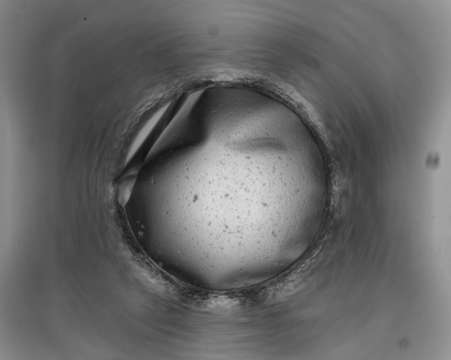 X0000097590257200803141901