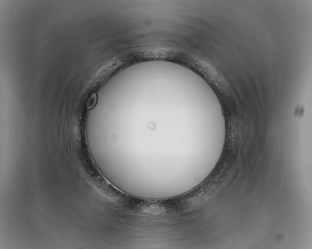 X0000097590258200803141901