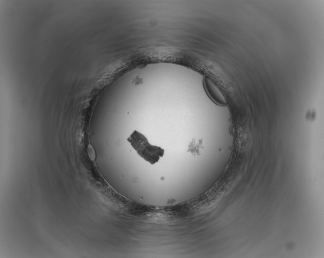 X0000097590259200803141901