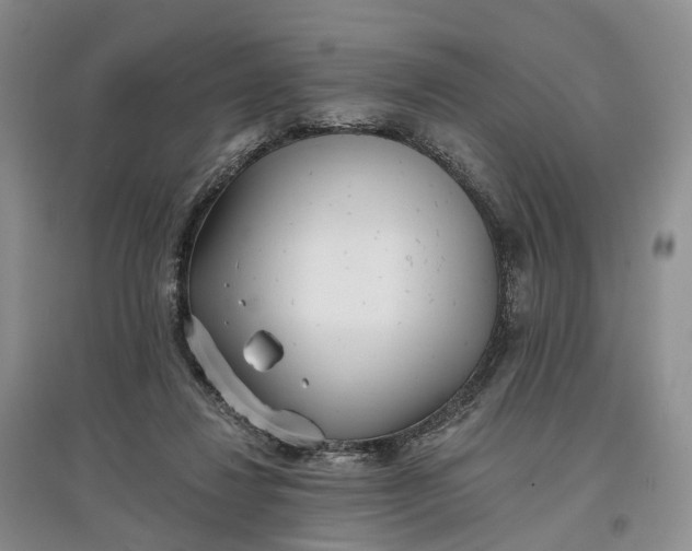 X0000097590260200803141901