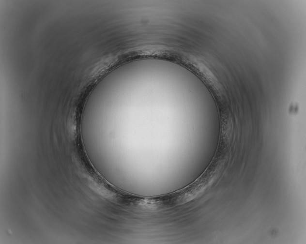 X0000097590261200803141901