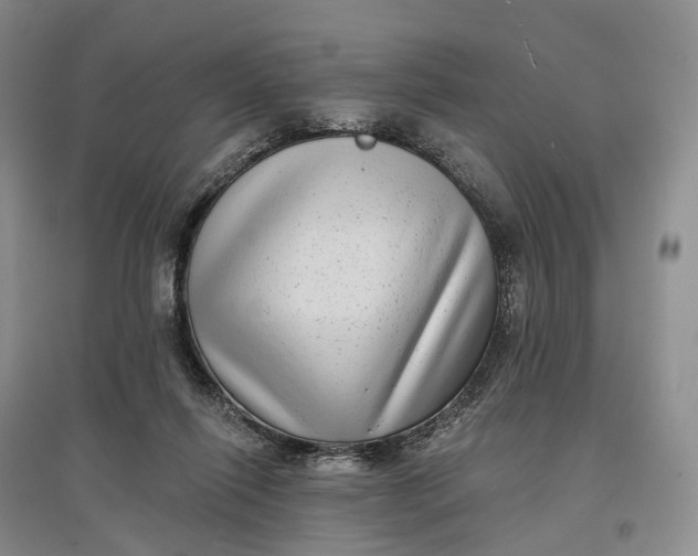 X0000097590262200803141901