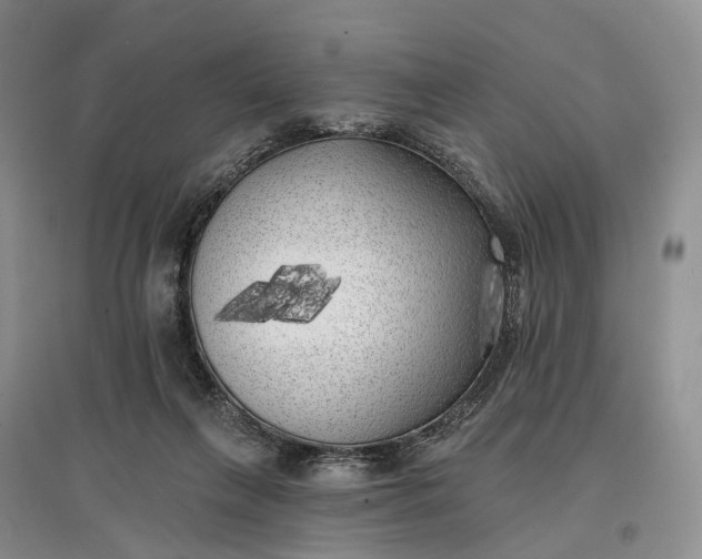 X0000097590263200803141901