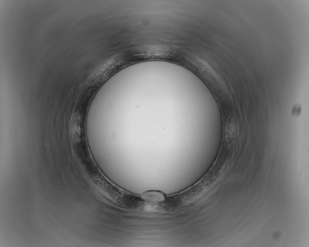 X0000097590264200803141901