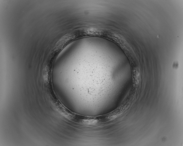 X0000097590266200803141901