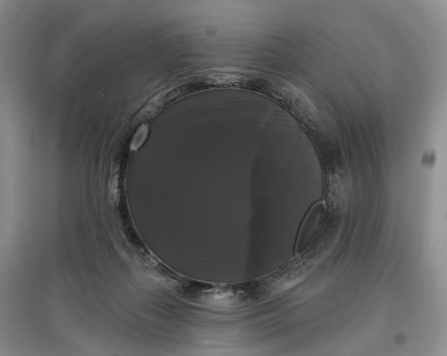 X0000097590267200803141901