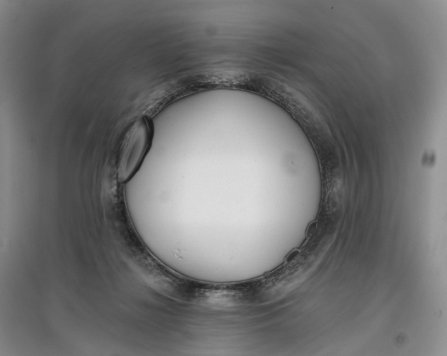 X0000097590268200803141901