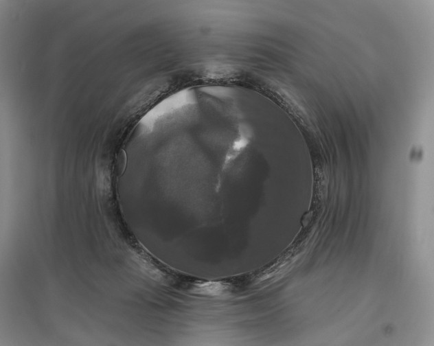 X0000097590269200803141901