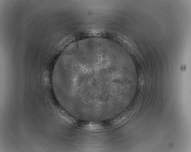 X0000097590270200803141901