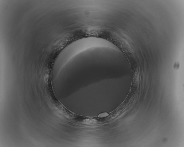 X0000097590271200803141901