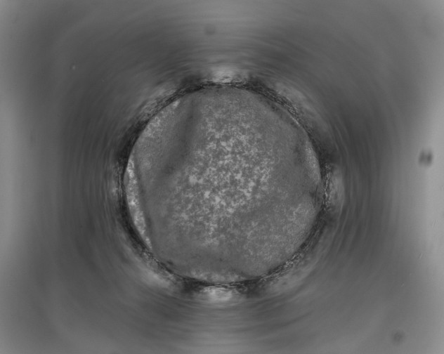 X0000097590272200803141901