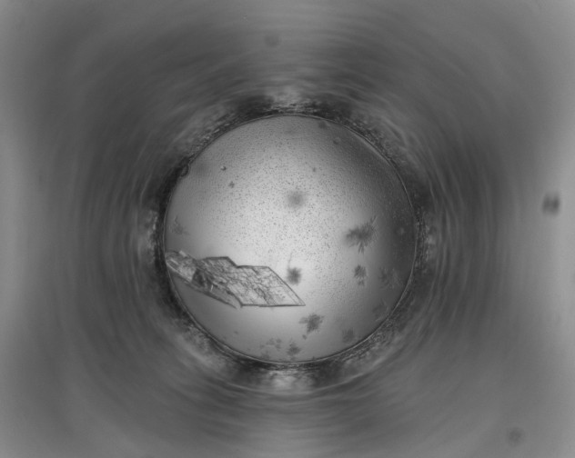 X0000097590275200803141901