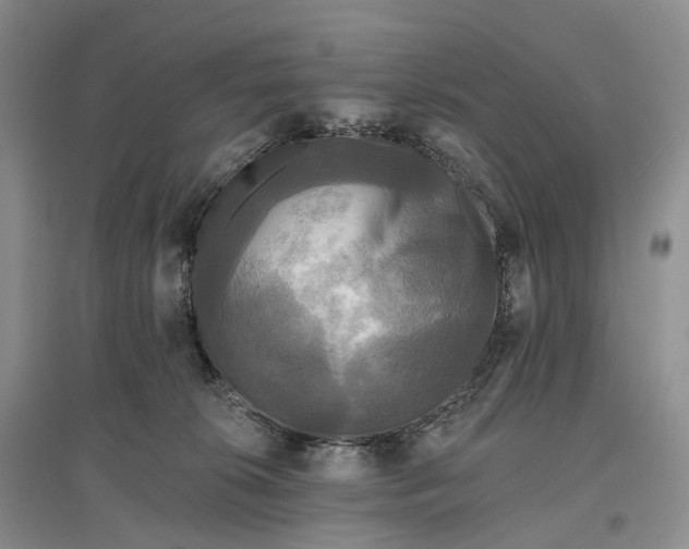 X0000097590276200803141901