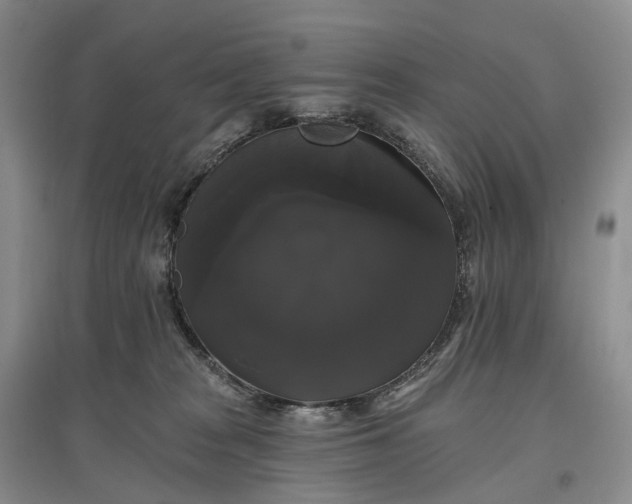 X0000097590277200803141901