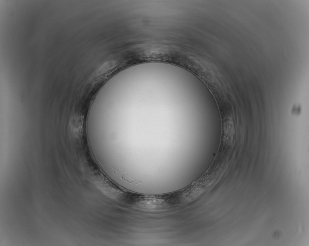 X0000097590278200803141901