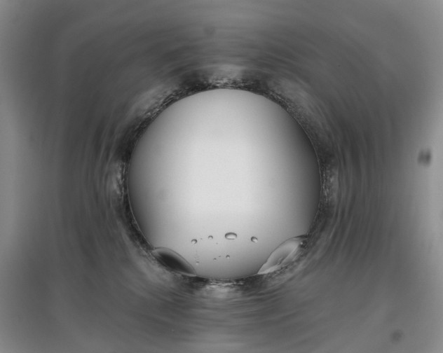 X0000097590280200803141901