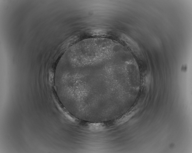 X0000097590281200803141901