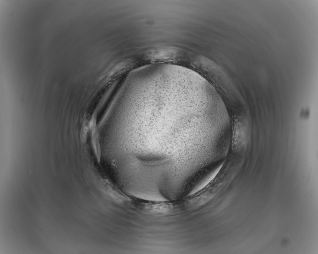 X0000097590282200803141901