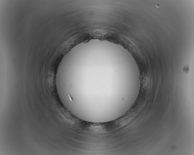 X0000097590283200803141901