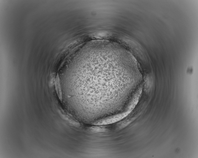 X0000097590284200803141901