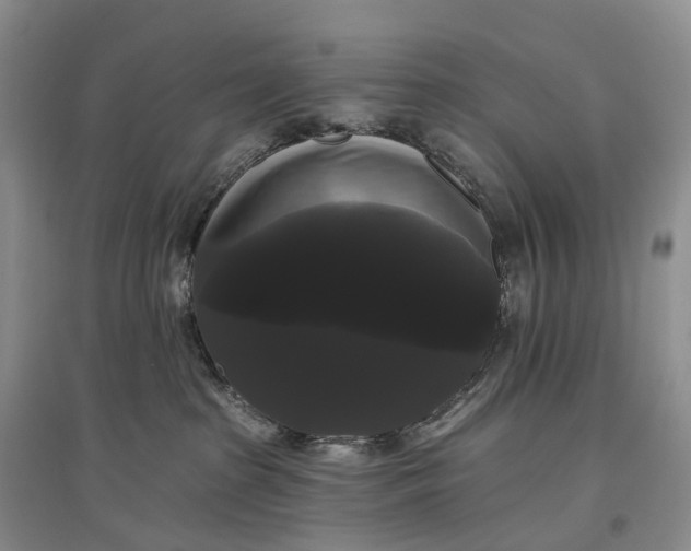 X0000097590285200803141901