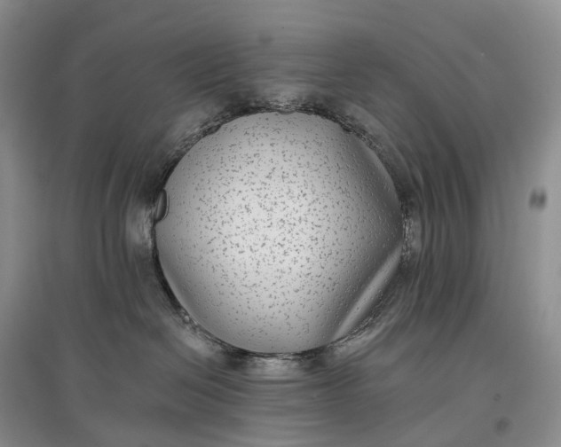 X0000097590286200803141901