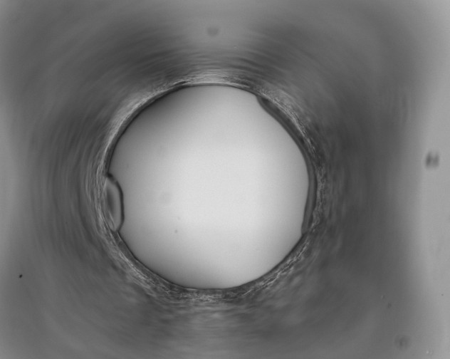 X0000097590289200803141900