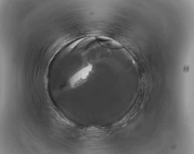 X0000097590290200803141900