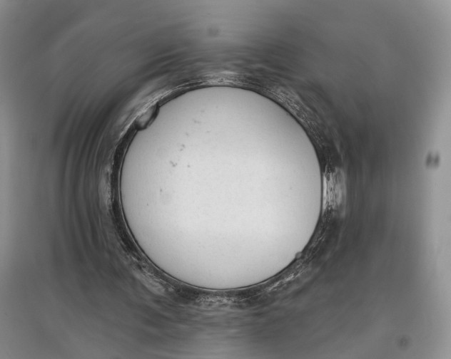 X0000097590291200803141900