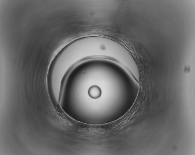 X0000097590292200803141900