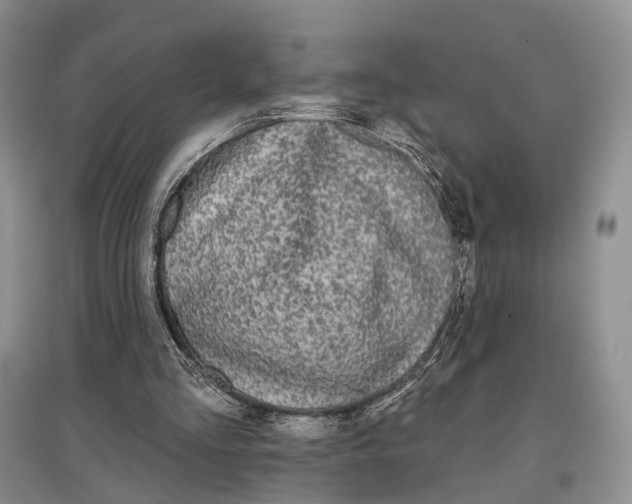 X0000097590293200803141900