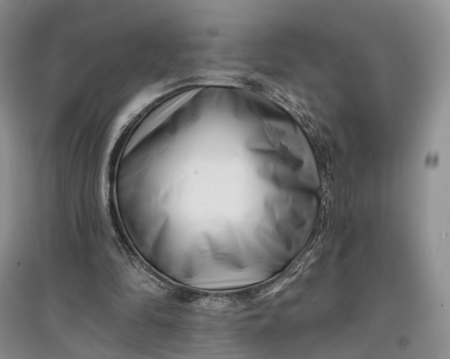 X0000097590294200803141900