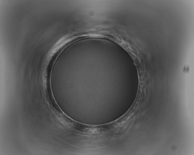 X0000097590295200803141900