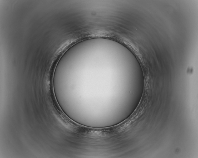 X0000097590298200803141900