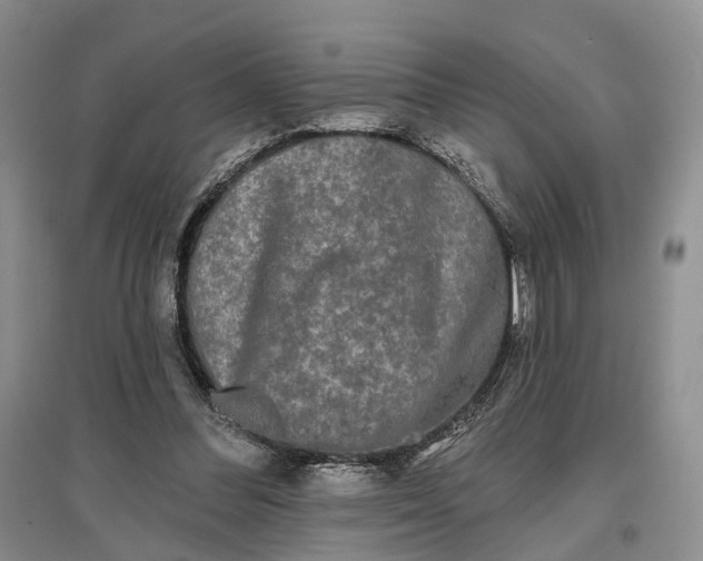 X0000097590300200803141900