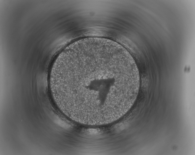 X0000097590302200803141900