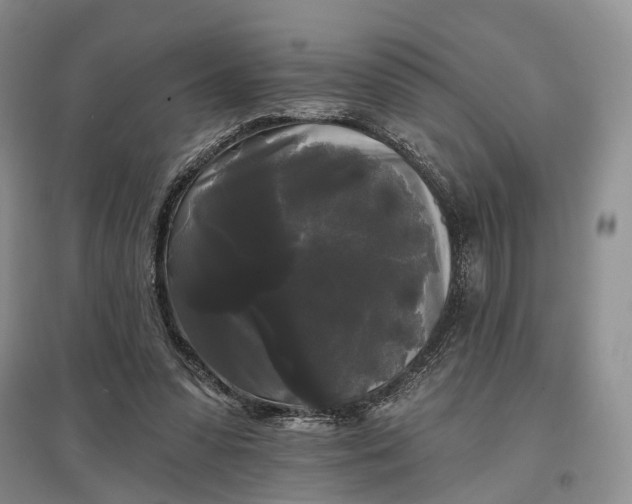 X0000097590303200803141900