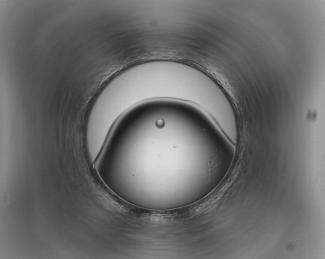 X0000097590305200803141900