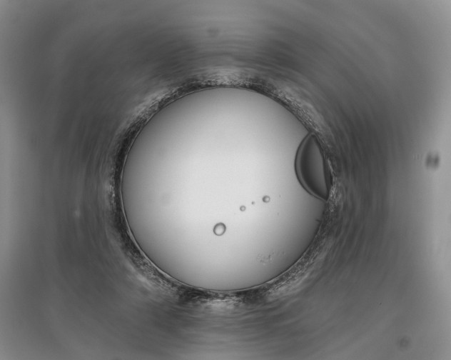 X0000097590306200803141900