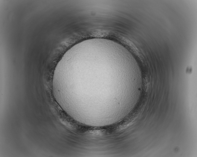 X0000097590307200803141900