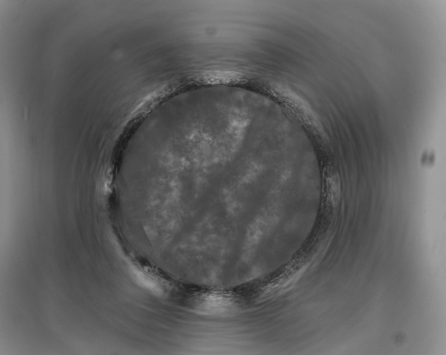 X0000097590308200803141900