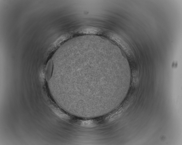 X0000097590309200803141900