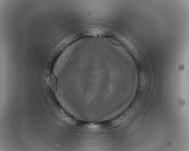 X0000097590313200803141900