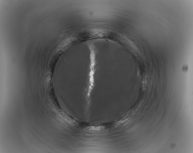 X0000097590314200803141900